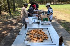 BBQ Picnic lunch - Homebush Bicentennial Park on 18th Feb 2018
