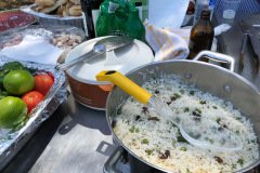BBQ Picnic lunch - Homebush Bicentennial Park on 18th Feb 2018