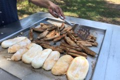 BBQ Picnic lunch - Homebush Bicentennial Park on 18th Feb 2018