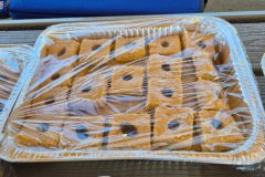 JU Alumni Picnic - 17th August, 2025