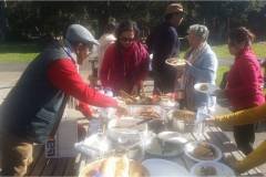 Picnic - 3rd July 2016